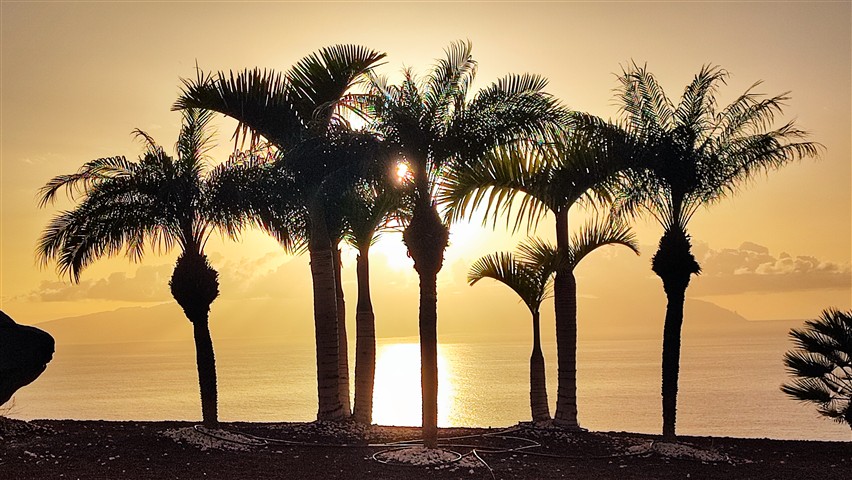 Tudtad? 5 ok, amiért az emberek vonzódnak a tengerparti helyekhez