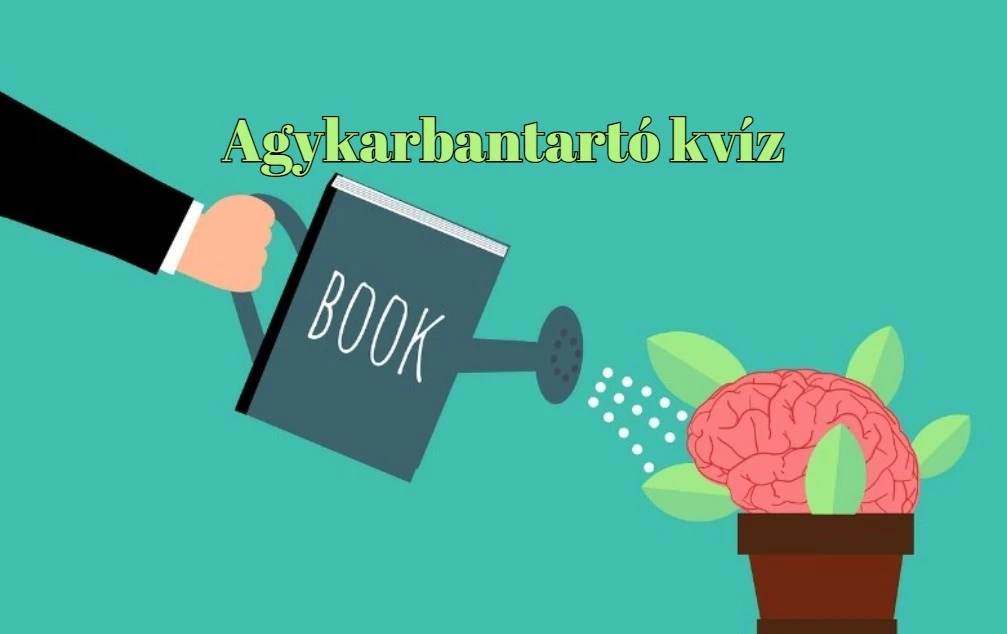 Ha szereted az agytornát, ezt a kihívást imádni fogod! Lépj be a játékba, és mérd fel a tudásod!