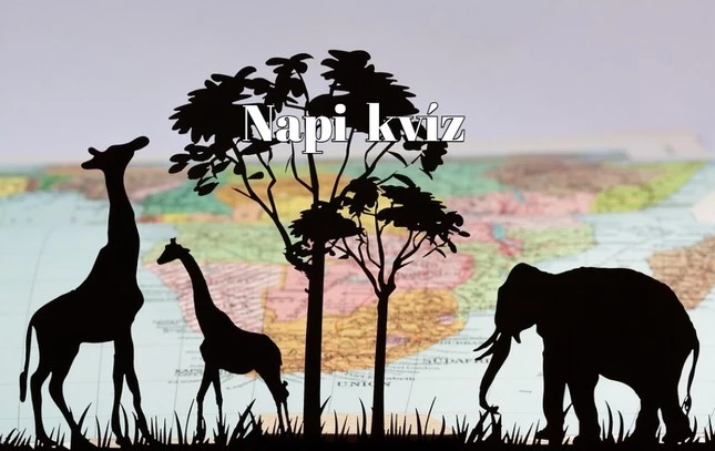 Napi kvíz - Vajon hány pontot sikerül elérned ebben a vegyes-felvágott kvízben?