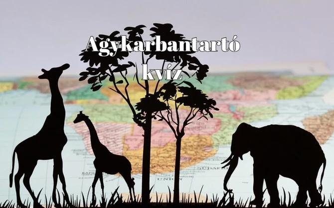 Gyors agytornára vágysz? Akkor ne mulaszd el ezt a napi kvízt sem - Kár lenne érte