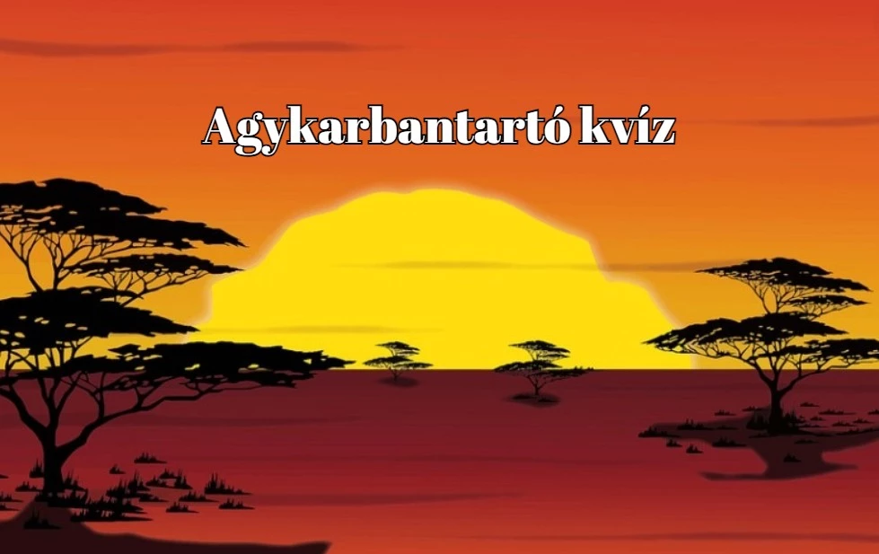 A legjobb játékosok maximális pontszámot szereznek ebben a napi kvízben