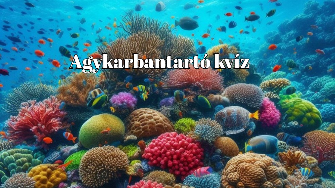 A kvízek kvíze következik. Itt egy friss agykarbantartó