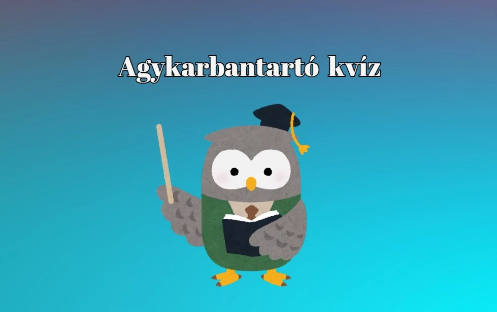 Ezt a napi agykarbantartó kvízt még az orvos is felírná neked