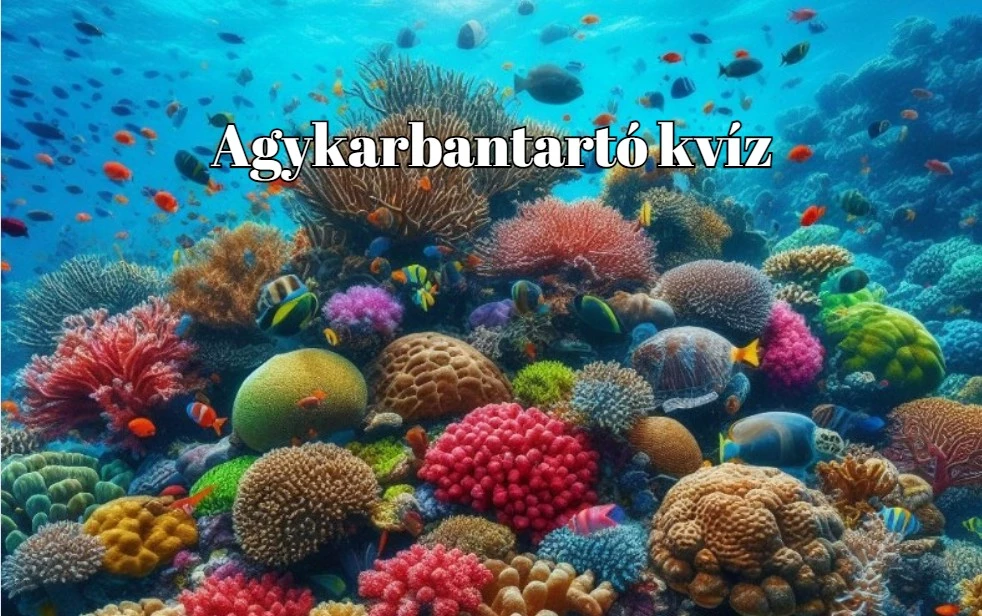 Napi kvíz - Ha a kérdések 70%-ára helyesen tudsz válaszolni, gyakorlatilag egy zseni vagy