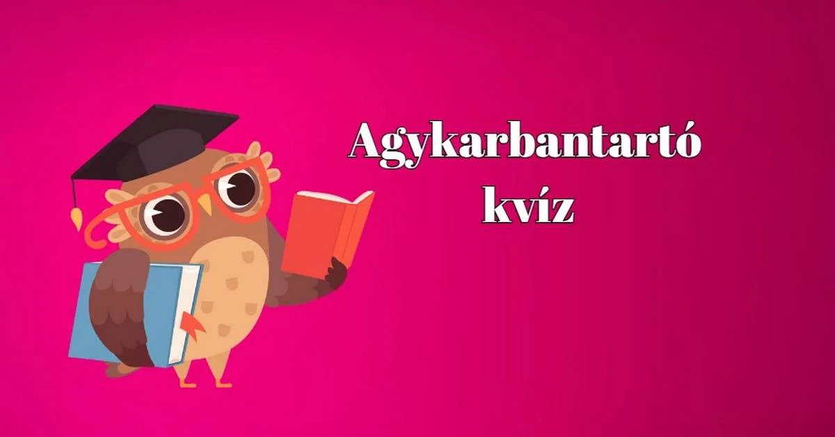 Nincs rizikó, mellékhatás csupán egy kis szórakozás - Napi kvíz