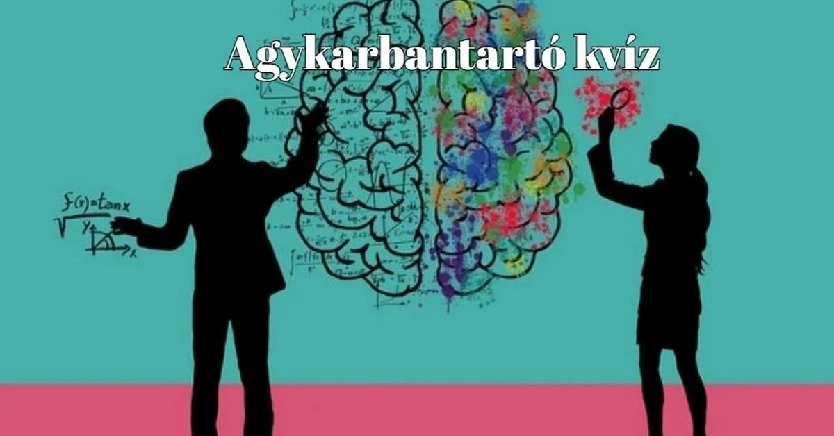 Legyen ez a napi kvíz az egyik mai sikerélményed