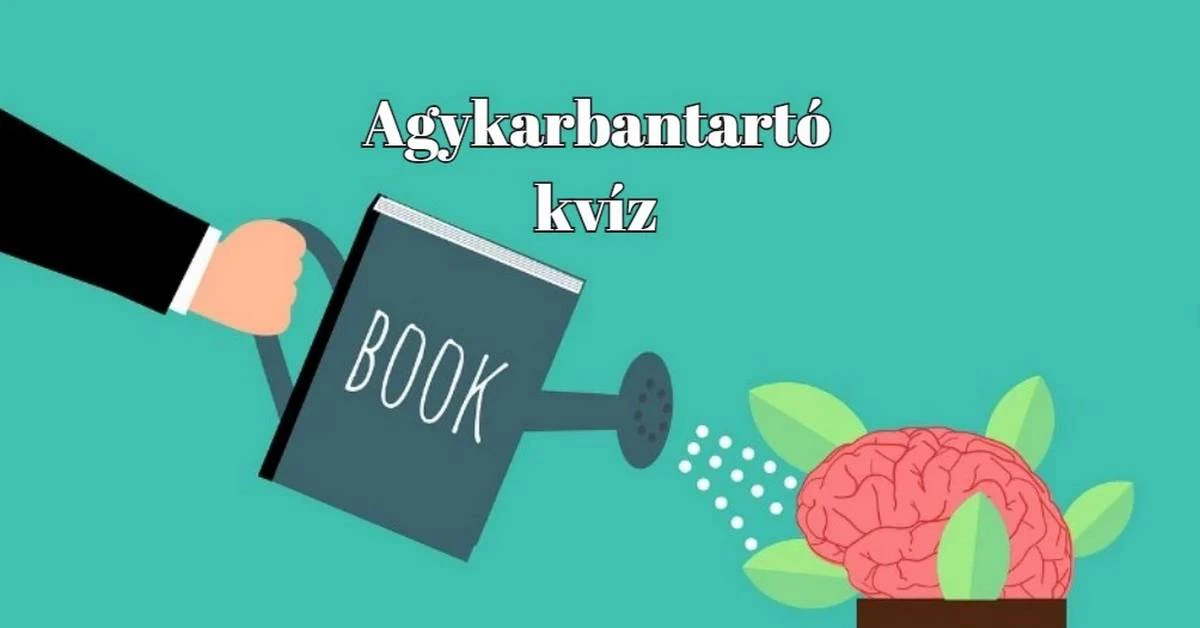 Napi kvíz - Megérkezett a friss agykarbantartó
