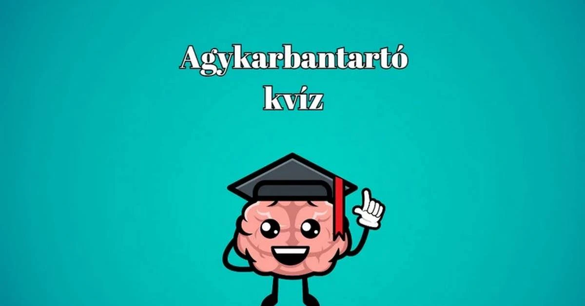 Napi kvíz: minden nap számíthatsz rá