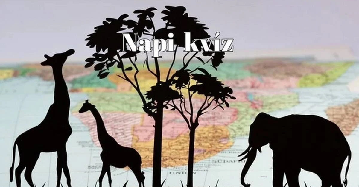 Pihenni ma sem hagyunk, itt egy újabb szellemi torna: agykarbantartó napi kvíz