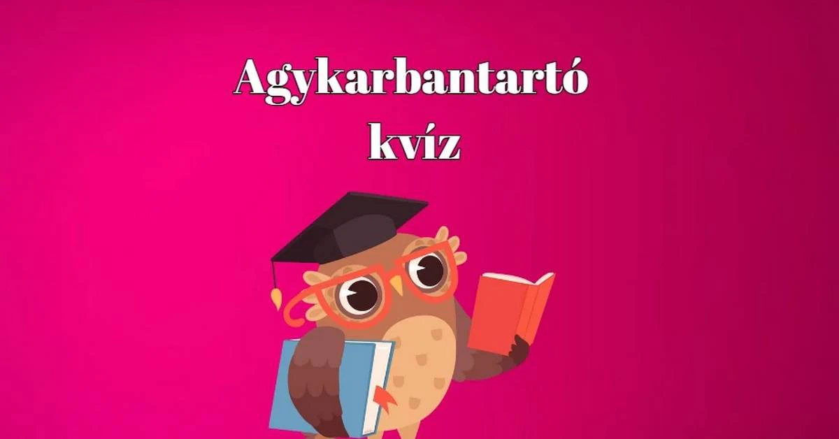 Büszke lehetsz magadra, ha a napi kvízkérdések több mint felére tudod a jó választ