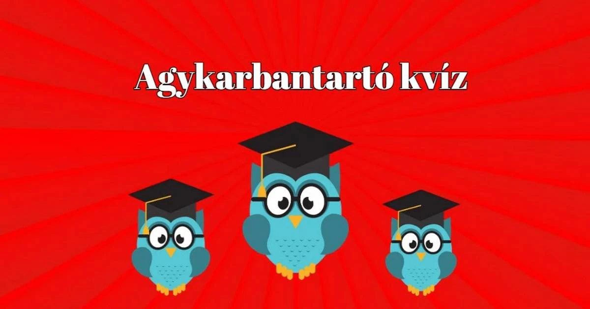 Mennyit kopott a tudásod, mióta suliba jársz? Napi kvíz
