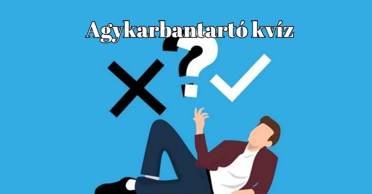 Agykarbantartó kvíz - Nem csak rajongóknak szánjuk